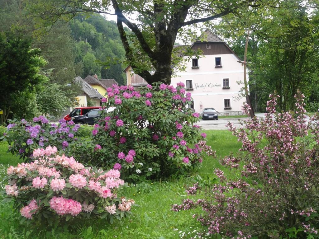Gasthof Eschau Palfau Zewnętrze zdjęcie